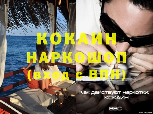 стаф Санкт-Петербург