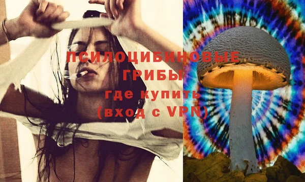 стаф Санкт-Петербург