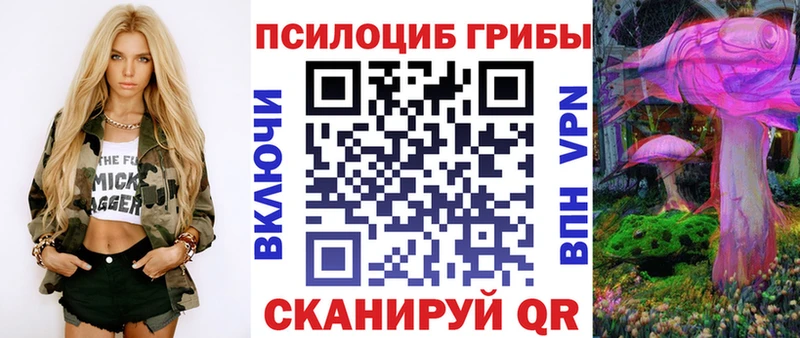 Псилоцибиновые грибы Psilocybine cubensis  Приволжский 